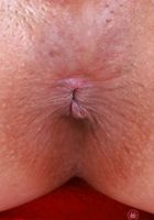 Alice Rebel from ATK Exotics