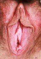Amber Summer Exotic Hairy Pussy Spreading, Amber Summer (amb070) ATK Natural & Hairy: Amber Summer (Amber Summer Exotic Hairy Pussy Spreading)