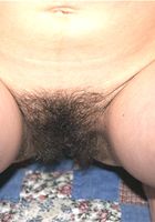 Amelia from ATK Archives
