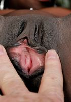 Ana Foxxx in blowjob, Ana Foxxx (ana027) ATK Exotics: Ana Foxxx (Ana Foxxx in blowjob)