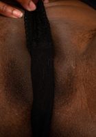 Anne Amari sexy black lingerie, Amari Anne (ann134) ATK Exotics: Amari Anne (Anne Amari sexy black lingerie)