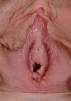 Apricot Pitts in young and hairy, Apricot Pitts (apr024) ATK Natural & Hairy: Apricot Pitts (Apricot Pitts in young and hairy)
