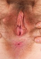 Apricot Pitts from ATK Natural & Hairy