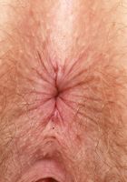 Apricot Pitts from ATK Natural & Hairy