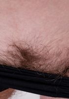 Apricot Pitts in young and hairy, Apricot Pitts (apr024) ATK Natural & Hairy: Apricot Pitts (Apricot Pitts in young and hairy)