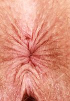 Apricot Pitts from ATK Natural & Hairy