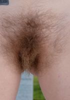 Apricot Pitts in young and hairy, Apricot Pitts (apr024) ATK Natural & Hairy: Apricot Pitts (Apricot Pitts in young and hairy)