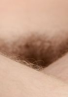 Apricot Pitts in young and hairy, Apricot Pitts (apr024) ATK Natural & Hairy: Apricot Pitts (Apricot Pitts in young and hairy)