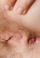 Apricot Pitts in young and hairy, Apricot Pitts (apr024) ATK Natural & Hairy: Apricot Pitts (Apricot Pitts in young and hairy)