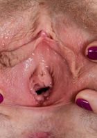 Apricot Pitts from ATK Natural & Hairy