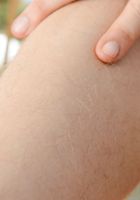 Apricot Pitts in young and hairy, Apricot Pitts (apr024) ATK Natural & Hairy: Apricot Pitts (Apricot Pitts in young and hairy)