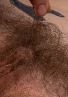 Apricot Pitts in young and hairy, Apricot Pitts (apr024) ATK Natural & Hairy: Apricot Pitts (Apricot Pitts in young and hairy)