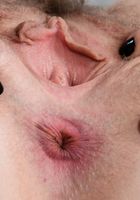 Apricot Pitts from ATK Natural & Hairy