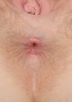 Apricot Pitts in young and hairy, Apricot Pitts (apr024) ATK Natural & Hairy: Apricot Pitts (Apricot Pitts in young and hairy)