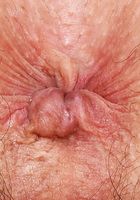 Arielle Lane Outdoor Nudity, Arielle Lane (ari063) ATK Natural & Hairy: Arielle Lane (Arielle Lane Outdoor Nudity)