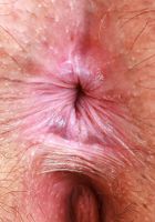 Autumn Berlin from ATK Natural & Hairy