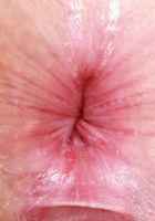 Ava's pink bikini hides a hot red bush, Ava Davis (ava023) ATK Galleria: Ava Davis (Ava's pink bikini hides a hot red bush)