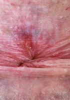 ATK Galleria: Avery Wilds (Avery Wilds Lingerie Spreads)