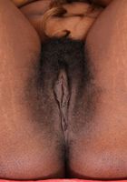 Bella Preciosa from ATK Exotics