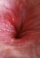 ATK Petites: Big Eyes (Big Eyes is in a sporty kinda mood)