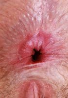 Big Eyes from ATK Petites