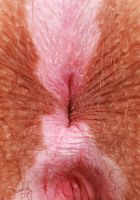 Bratty Wolfie from ATK Natural & Hairy