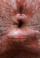 Britney London Upskirt Tease, Britney London (bri074) ATK Exotics: Britney London (Britney London Upskirt Tease)