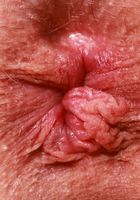 Cecelia Taylor shows a little skin, Cecelia Taylor (cec016) ATK Galleria: Cecelia Taylor (Cecelia Taylor shows a little skin)