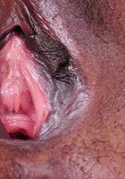 Black model Natasha shows you her pink pussy, Natasha (cha084) ATK Exotics: Natasha (Black model Natasha shows you her pink pussy)