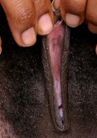Cherry in black women, Cherry (che037) ATK Exotics: Cherry (Cherry in black women)