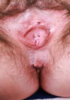 Annabelle Lee from ATK Petites