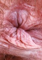 Annabelle Lee Juicy Hairy Pussy, Annabelle Lee (cri007) ATK Natural & Hairy: Annabelle Lee (Annabelle Lee Juicy Hairy Pussy)