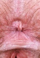 ATK Petites: Annabelle Lee (Annabelle Lee is looking luscious in her lacey lingerie)