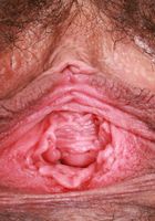 ATK Natural & Hairy: Dakota Marr (Dakota Marr in lingerie and a collar)