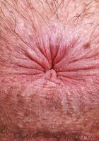 Dakota Marr from ATK Natural & Hairy