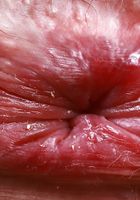 Daydream Daisy from ATK Galleria