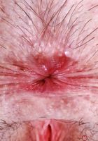 ATK Petites: Daydream Daisy (Daydream Daisy brought you flowers)