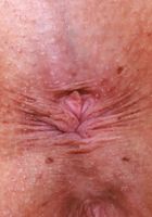 ATK Galleria: Dolly Paige (Dolly Paige is stunning in all blue)