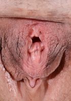 Elexis Monroe in mature and hairy, Elexis Monroe (ele006) ATK Natural & Hairy: Elexis Monroe (Elexis Monroe in mature and hairy)