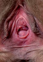 Felicia Fisher in scary hairy, Felicia Fisher (fel024) ATK Natural & Hairy: Felicia Fisher (Felicia Fisher in scary hairy)