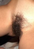 Gloria in latinas, Gloria (glo008) ATK Exotics: Gloria (Gloria in latinas)