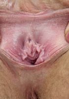 Hairy Heidi spreads her bush, Heidi Hanson (hei013) ATK Natural & Hairy: Heidi Hanson (Hairy Heidi spreads her bush)