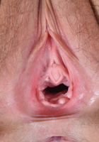 Hope gapes her tight pink hairy hole., Hope Howell (hop004) ATK Natural & Hairy: Hope Howell (Hope gapes her tight pink hairy hole.)