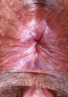 Isabella Jules from ATK Exotics