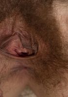 Ivy Addams in young and hairy, Ivy Addams (ivy021) ATK Natural & Hairy: Ivy Addams (Ivy Addams in young and hairy)