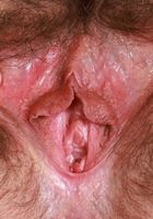 ATK Natural & Hairy: Jackie Hoff (Jackie Hoff tries on some sheer lacey lingerie)