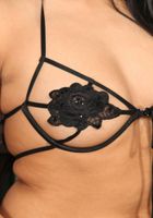 Jasmine Rain from ATK Exotics