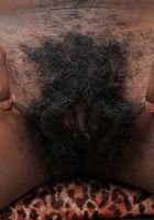 Hot and hairy with Jordan Lover, Jordan Lover (jor021) ATK Exotics: Jordan Lover (Hot and hairy with Jordan Lover)