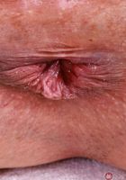 Julia James from ATK Exotics