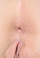 Kacie Castle Lingerie Pussy and Ass Spreads, Kacie Castle (kac010) ATK Petites: Kacie Castle (Kacie Castle Lingerie Pussy and Ass Spreads)